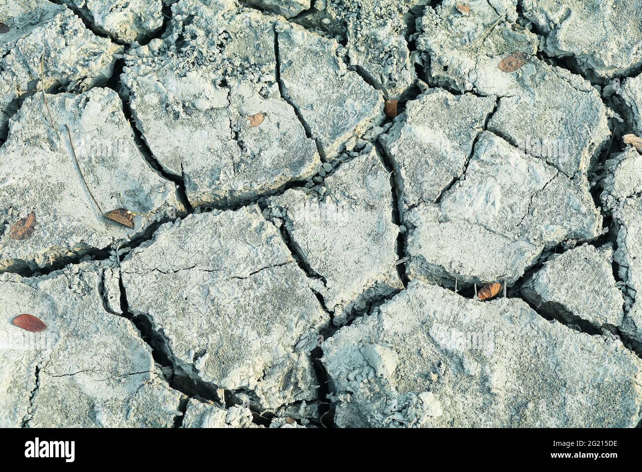 Closeup di suolo asciutto. Terreno incrinato per lo sfondo. Crack secco suolo in siccità, colpiti dal riscaldamento globale ha fatto il cambiamento climatico. Mancanza di acqua. Foto Stock