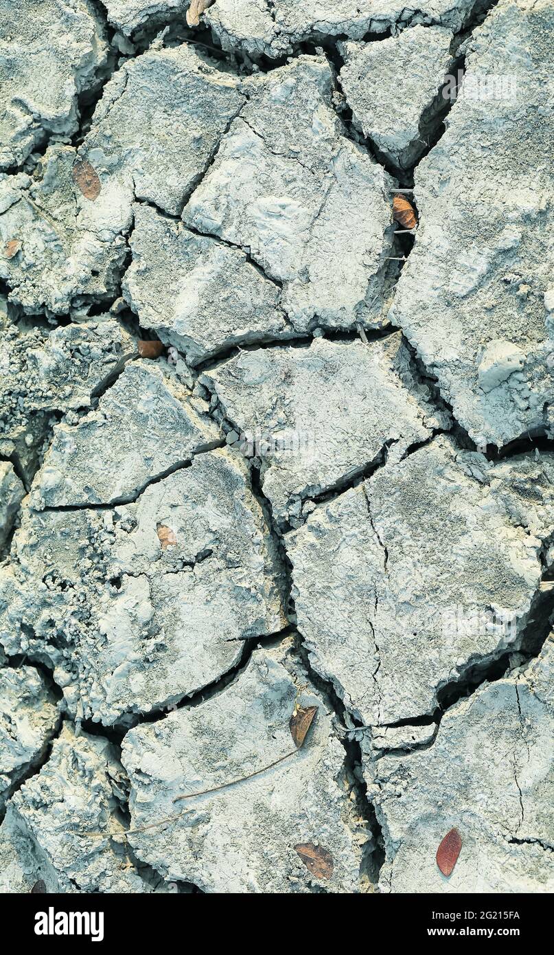 Closeup di suolo asciutto. Terreno incrinato per lo sfondo. Crack secco suolo in siccità, colpiti dal riscaldamento globale ha fatto il cambiamento climatico. Mancanza di acqua. Foto Stock