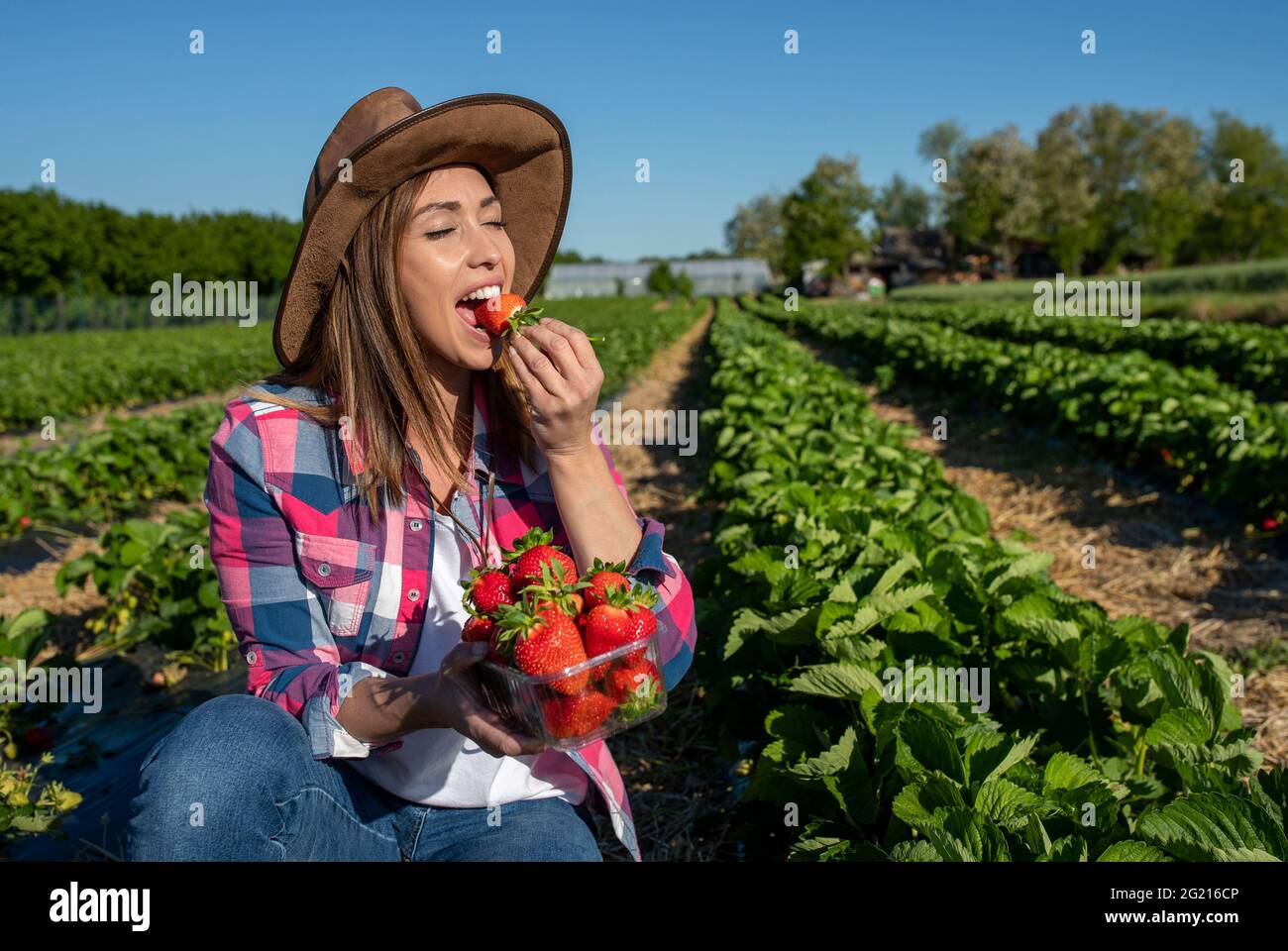 Giovane agricoltore accovacciato in campo di fragole che mordicchiano sulla frutta. Donna che mangia frutta matura all'aperto. Foto Stock