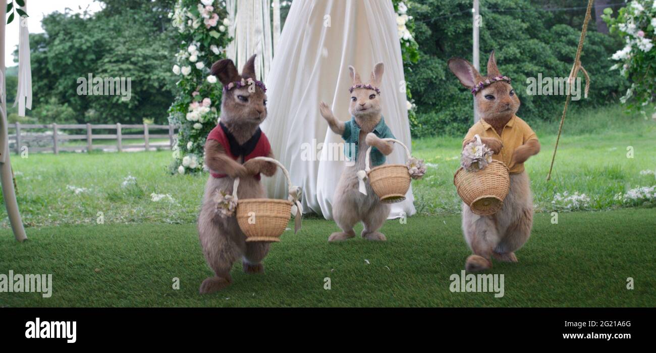 Peter Rabbit 2 Female Rabbit PETER RABBIT 2: THE RUNAWAY, (aka PETER RABBIT 2), da sinistra: Flopsy ...