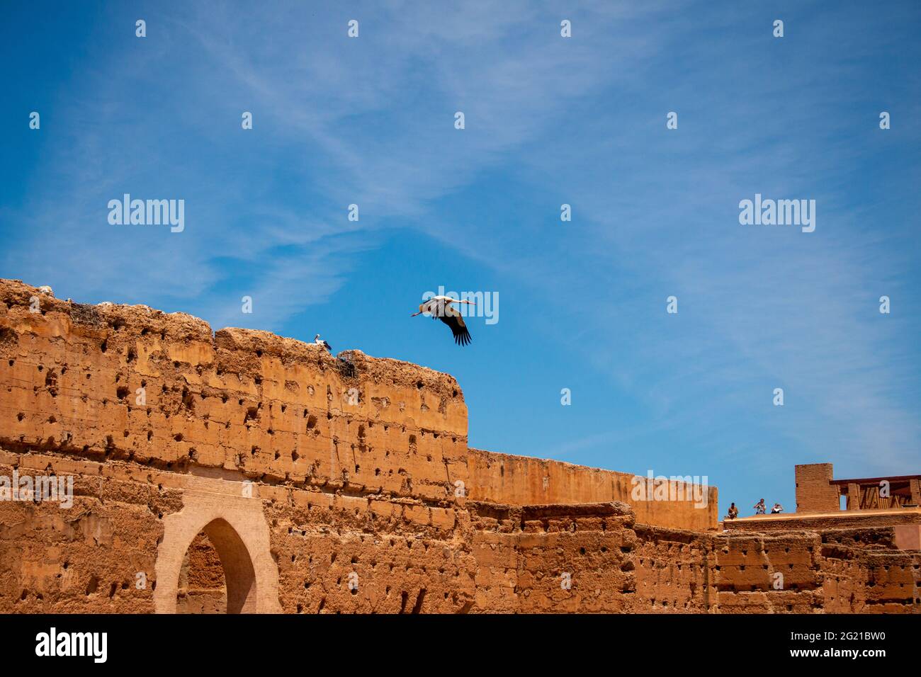 Cicogne al Palazzo El Badi, un palazzo in rovina a Marrakech, Marocco Foto Stock