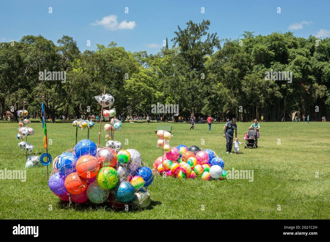 Parco Ibirapuera in una giornata estiva, San Paolo, SP Brasile Foto Stock