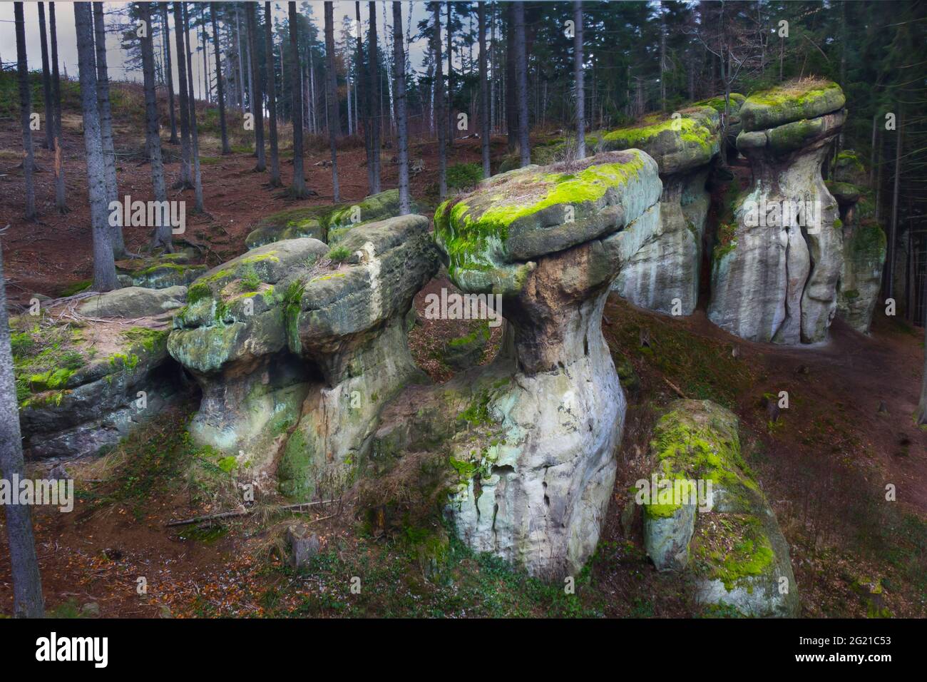 Riserva naturale rocce di Gnome con strutture in arenaria a Gorzeszow, Polonia Foto Stock