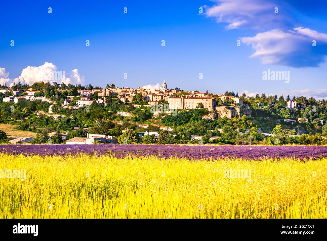 Sault, Francia - Scenic villaggio collinare con lavanda e campi di grano in Provenza. Foto Stock