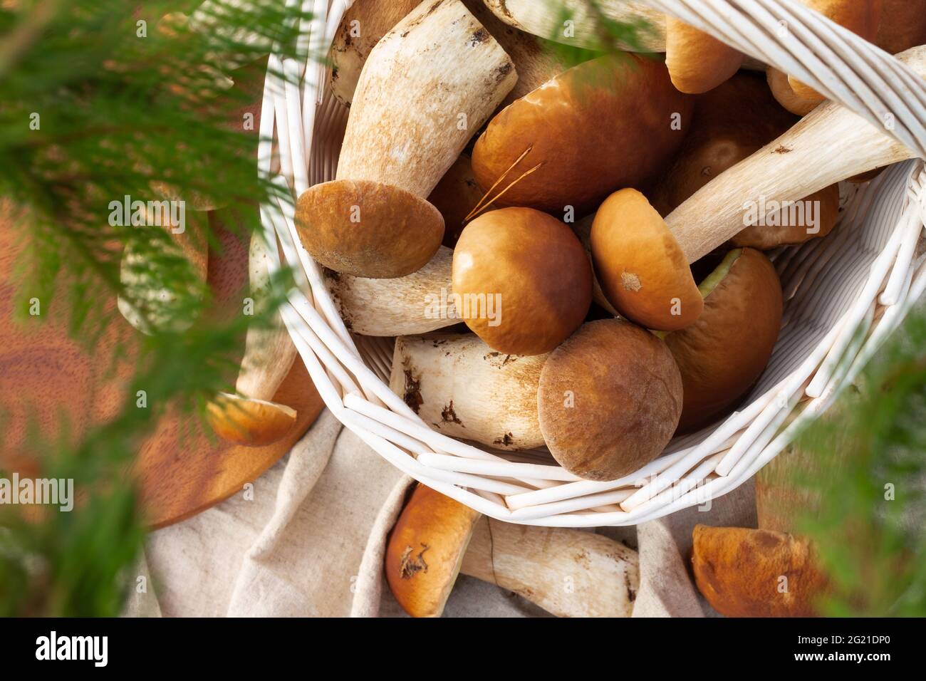 Cesto bianco di vimini con funghi porcini. Vista dall'alto. Foto Stock