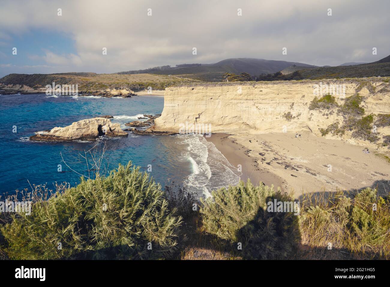 Montana de Oro state Park, California Central Coast. Bella spiaggia di sabbia, scogliere rocciose, piante autoctone, e cielo nuvoloso sullo sfondo Foto Stock