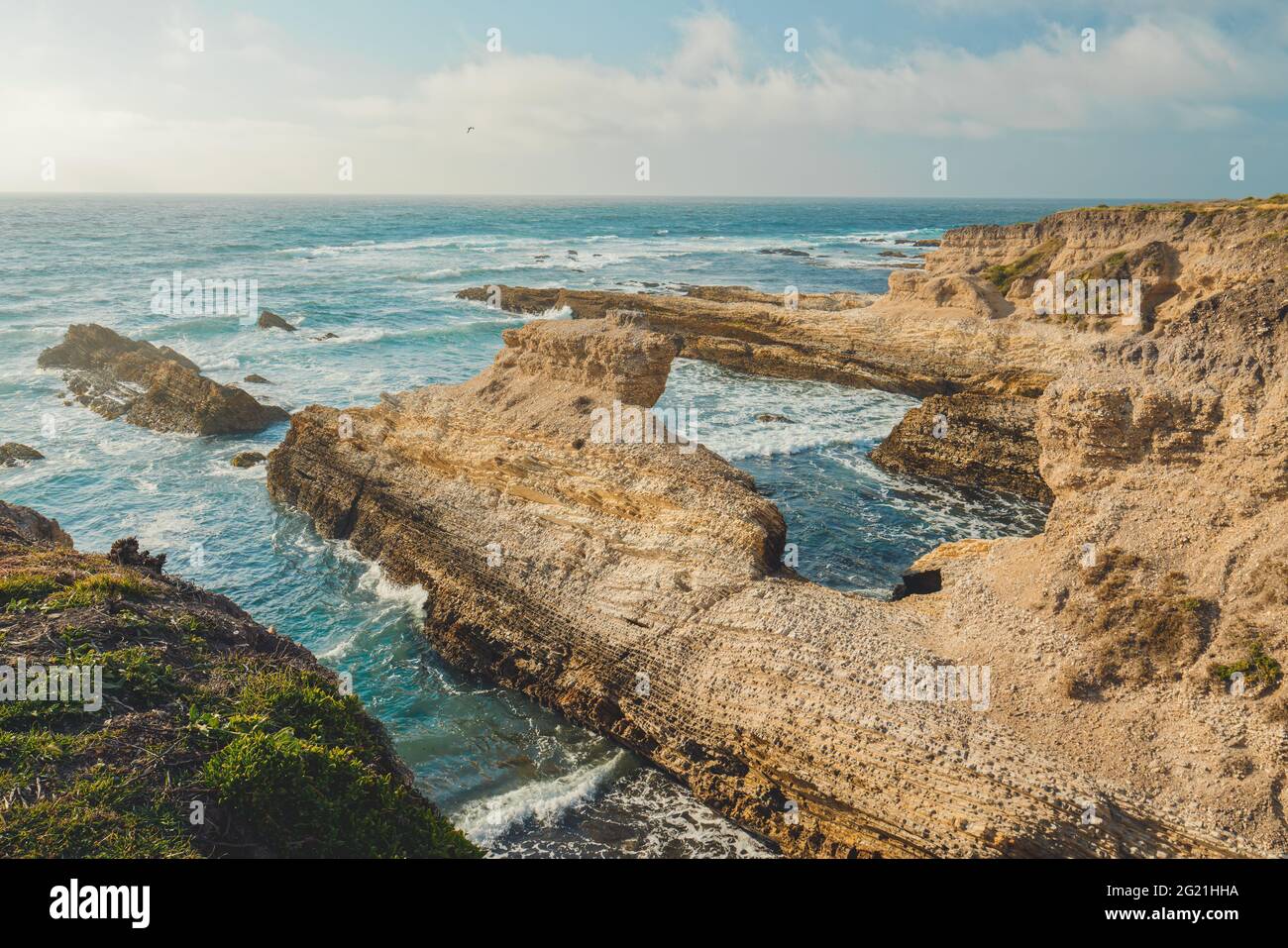 Litorale roccioso al largo dell'oceano Pacifico nel Montana de Oro state Park, California Central Coast Foto Stock