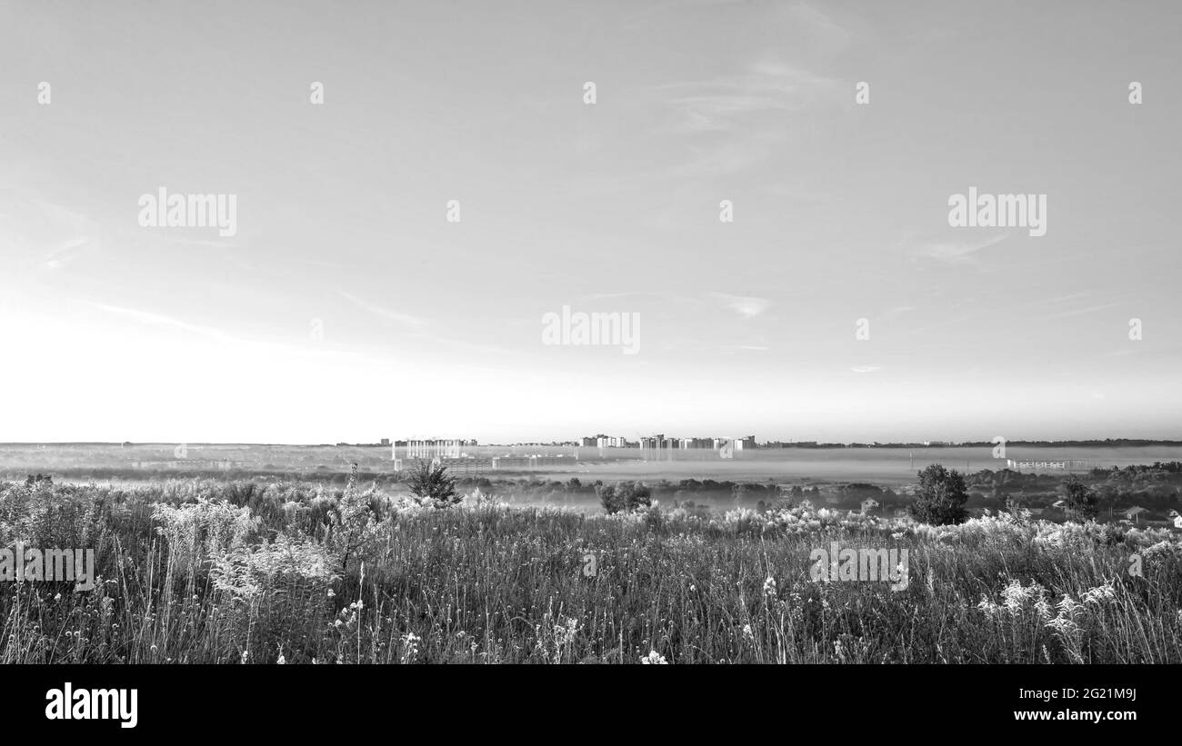 Vista della città di Oryol al mattino all'alba nella nebbia, fioritura delle erbe di campo in primo piano Foto Stock