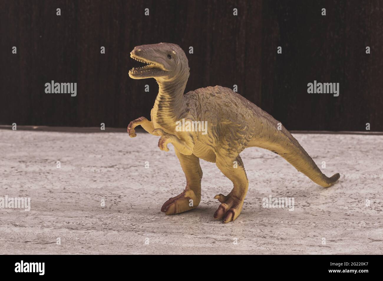 piccolo dinosauro giocattolo di plastica Foto Stock