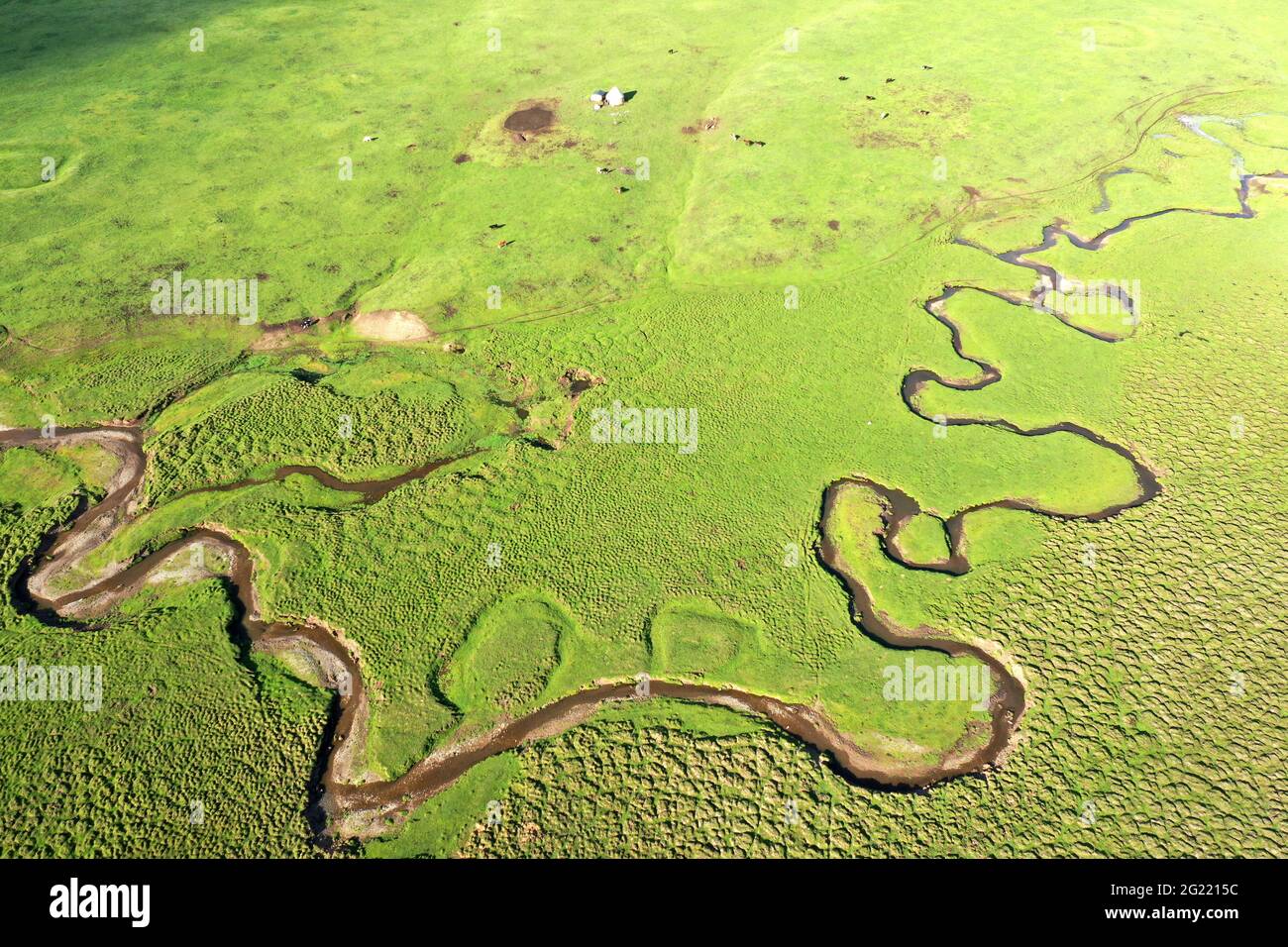 Yili, Cina. 07 giugno 2021. La bellezza del fiume Acar in estate a Yili, Xinjiang, Cina il 07 giugno 2021.(Photo by TPG/cnsphotos) Credit: TopPhoto/Alamy Live News Foto Stock