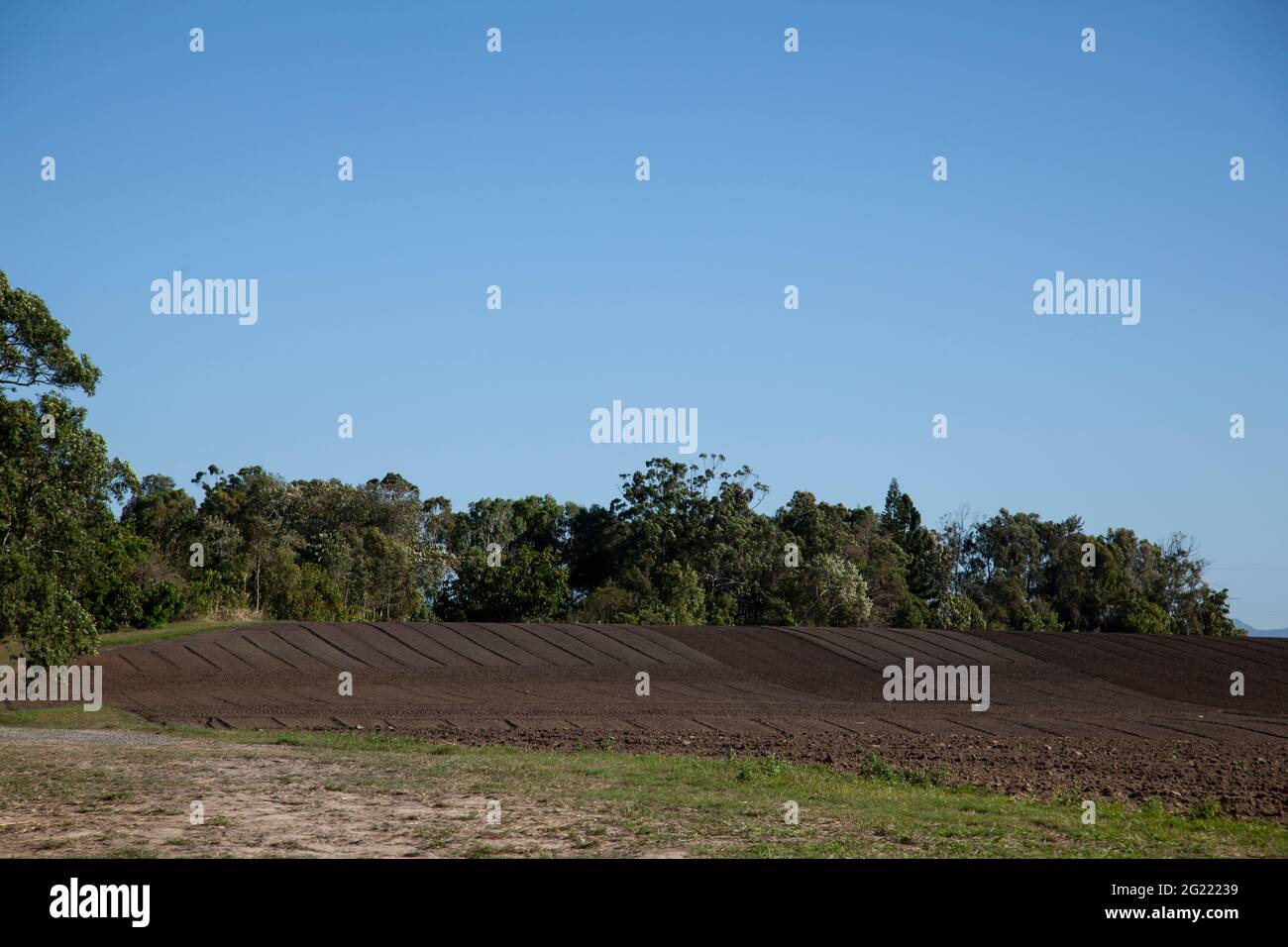 Un campo appena arato pronto a piantare canna da zucchero nel tropicale North Queensland. Foto Stock