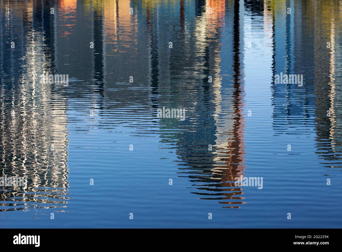 Riflesso degli edifici del centro di Calgary in uno stagno sul Prince's Island Park. Foto Stock