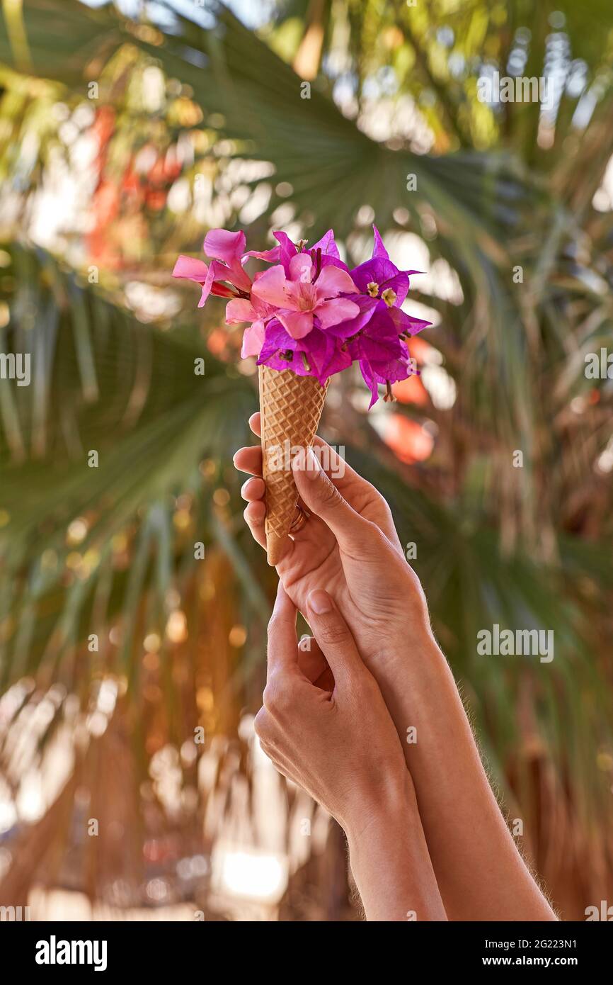 La donna tiene fiori rosa brillanti in un cono gelato davanti alle foglie di palma in tempo di sole. Concetto di pubblicità di viaggio e di vacanza estiva brillante. Estate surreale fiori creativi e alla moda. Foto Stock