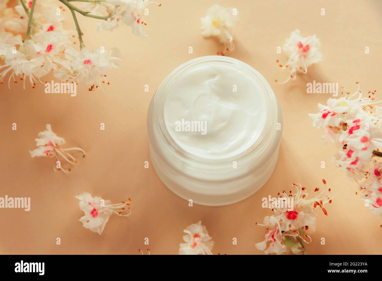 Vasetto bianco crema e fiori di castagno di cavallo su sfondo beige. Concetto di cosmetica biologica naturale. Vista dall'alto. Foto Stock