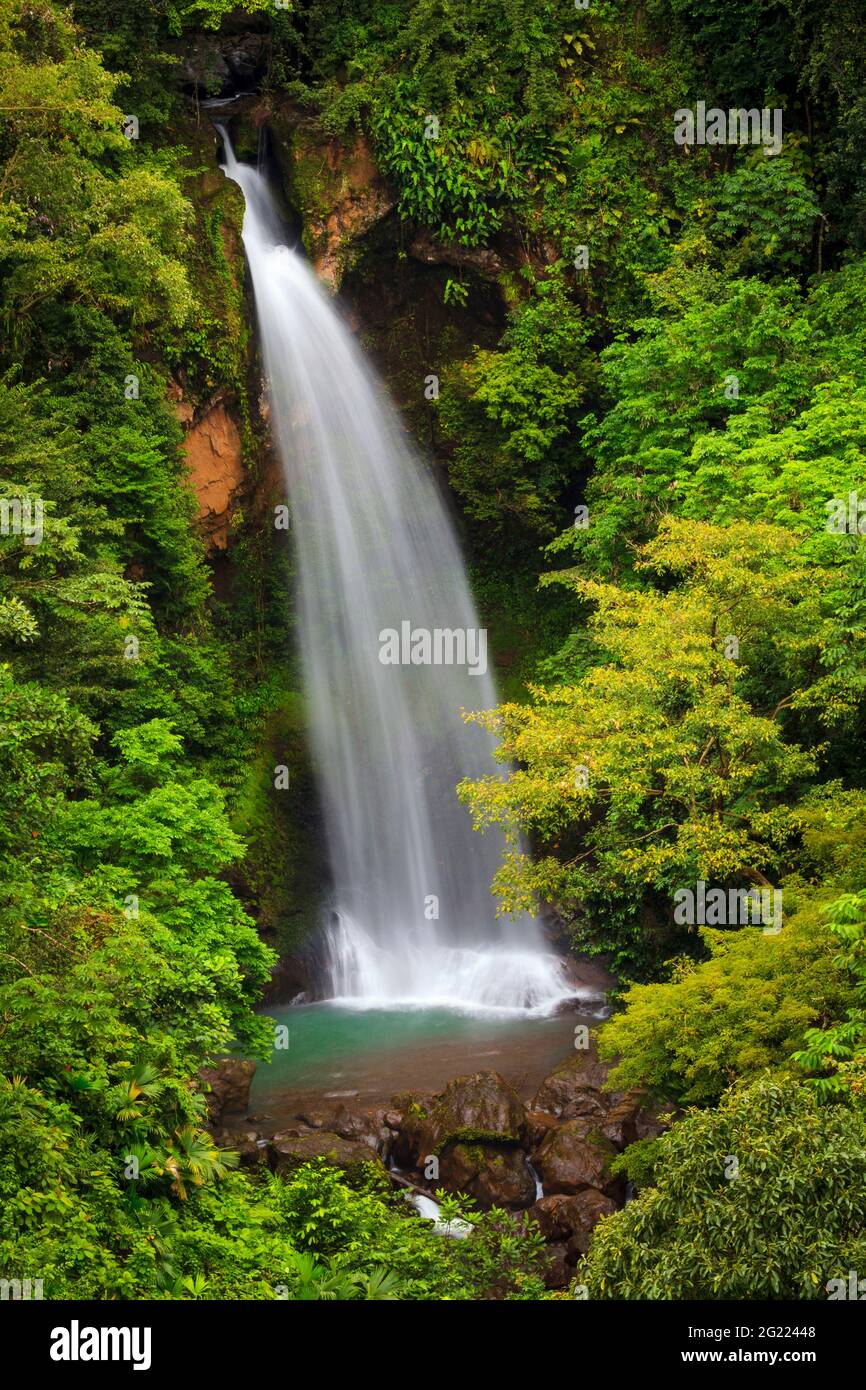 Panorama delle cascate di Panama a Chorro Tavida circondato dalla lussureggiante foresta pluviale a Chiguiri Arriba, provincia di Colle, Repubblica di Panama, America Centrale. Foto Stock