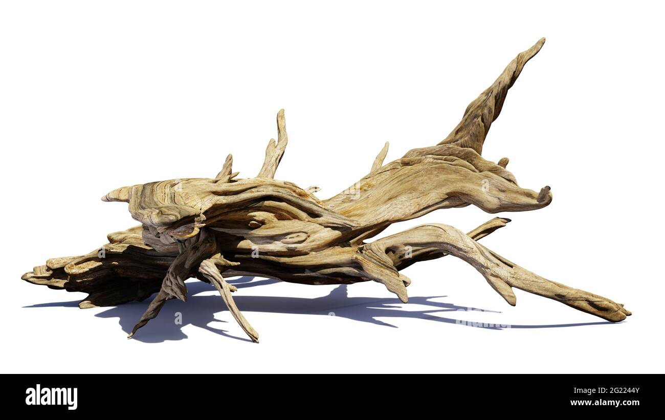 driftwood, cumulo di legno invecchiato isolato su sfondo bianco Foto Stock