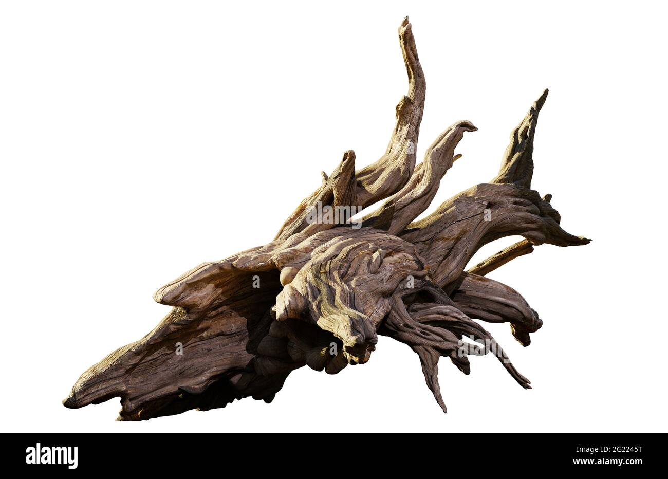 driftwood, cumulo di legno invecchiato isolato su sfondo bianco Foto Stock