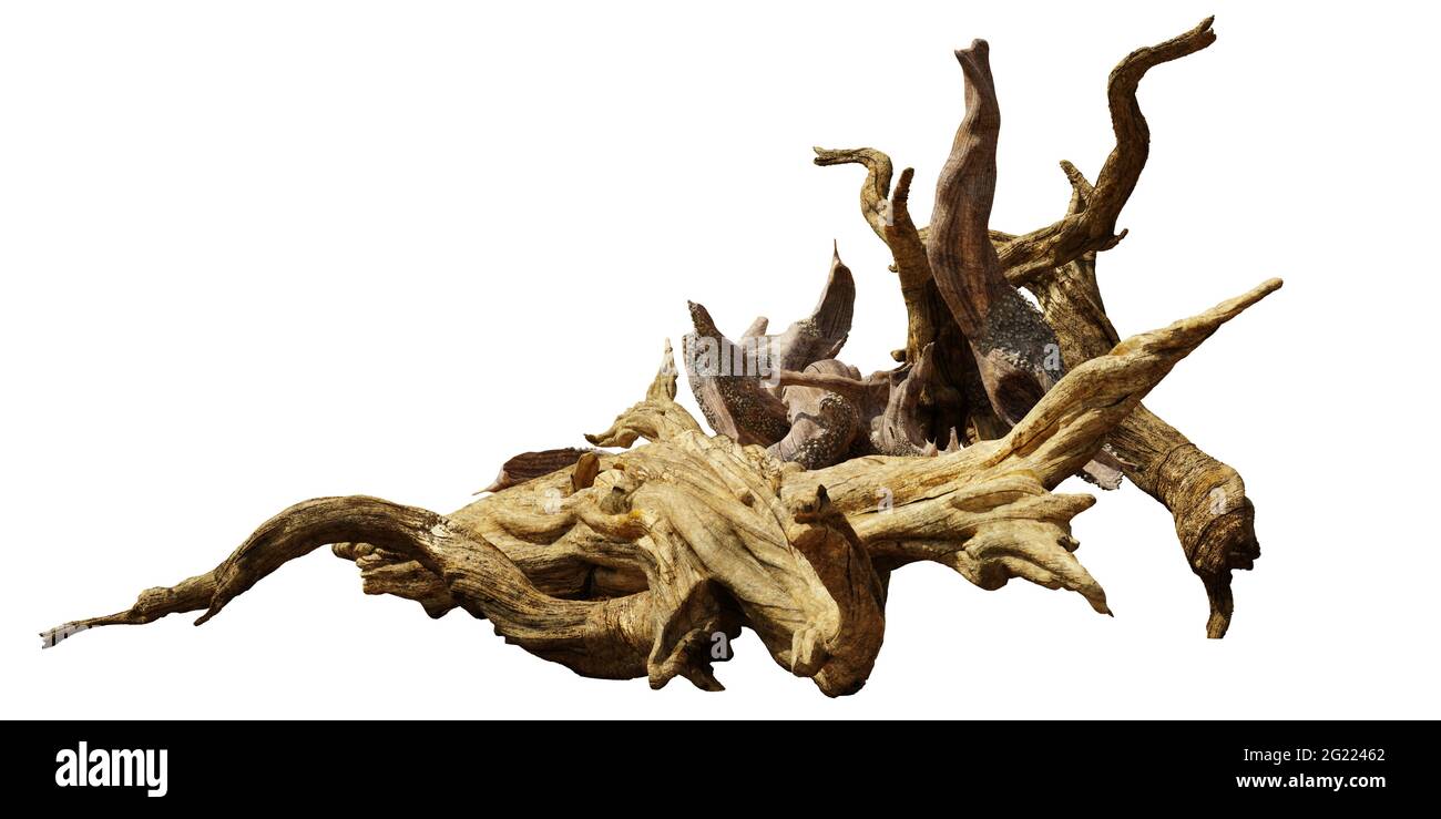 driftwood, cumulo di legno invecchiato isolato su sfondo bianco Foto Stock