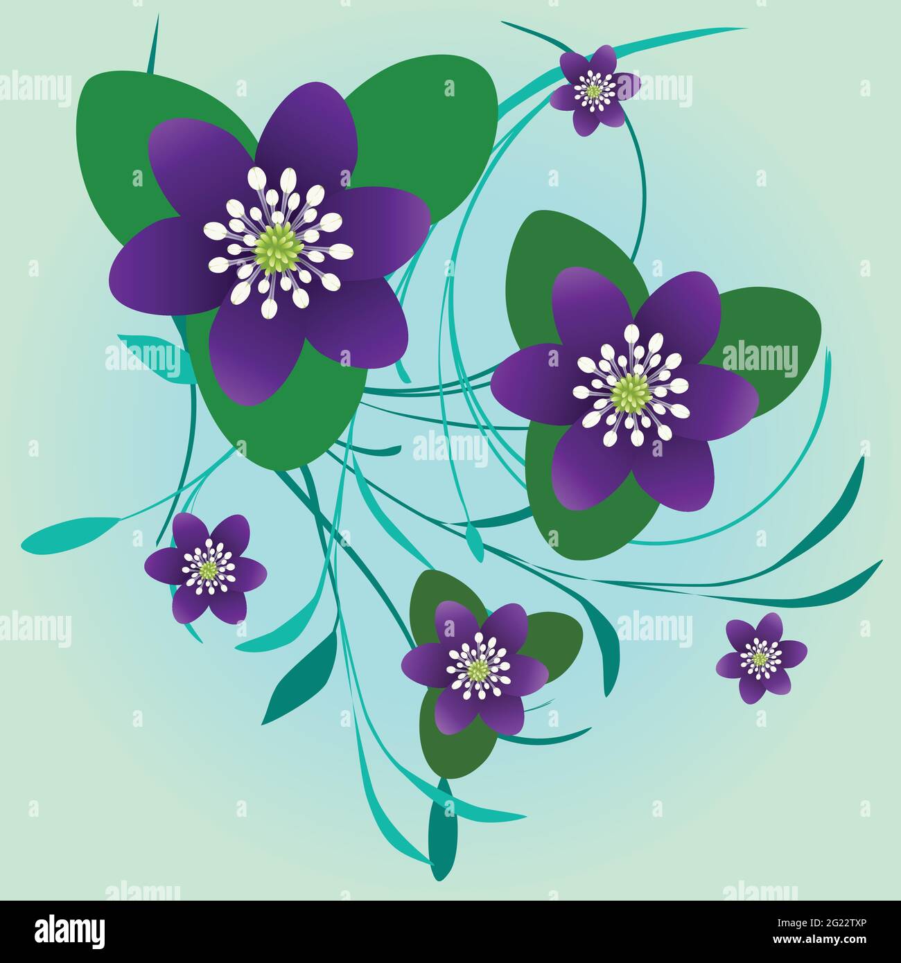 Un bouquet di fiori viola con foglie su uno sfondo a sfumatura blu verde chiaro Illustrazione Vettoriale