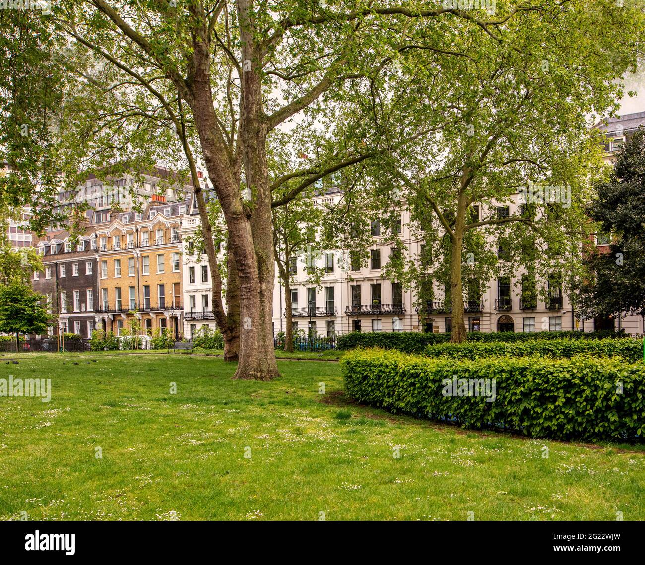 Bloomsbury Square, Holborn, Londra; una grande piazza giardino progettata nel 1660. Parco storico classificato di grado II. Foto Stock
