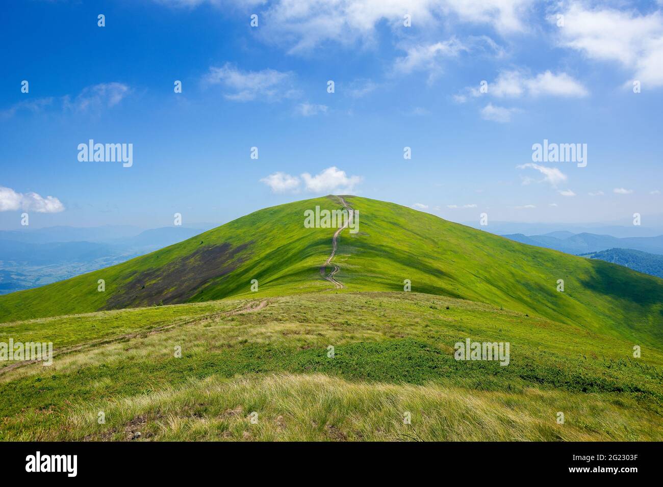 Colline erbose e prati del crinale di Borzhava. Meraviglioso paesaggio estivo a mezzogiorno. Alte nuvole sul cielo blu. Meraviglioso paesaggio naturale di Foto Stock