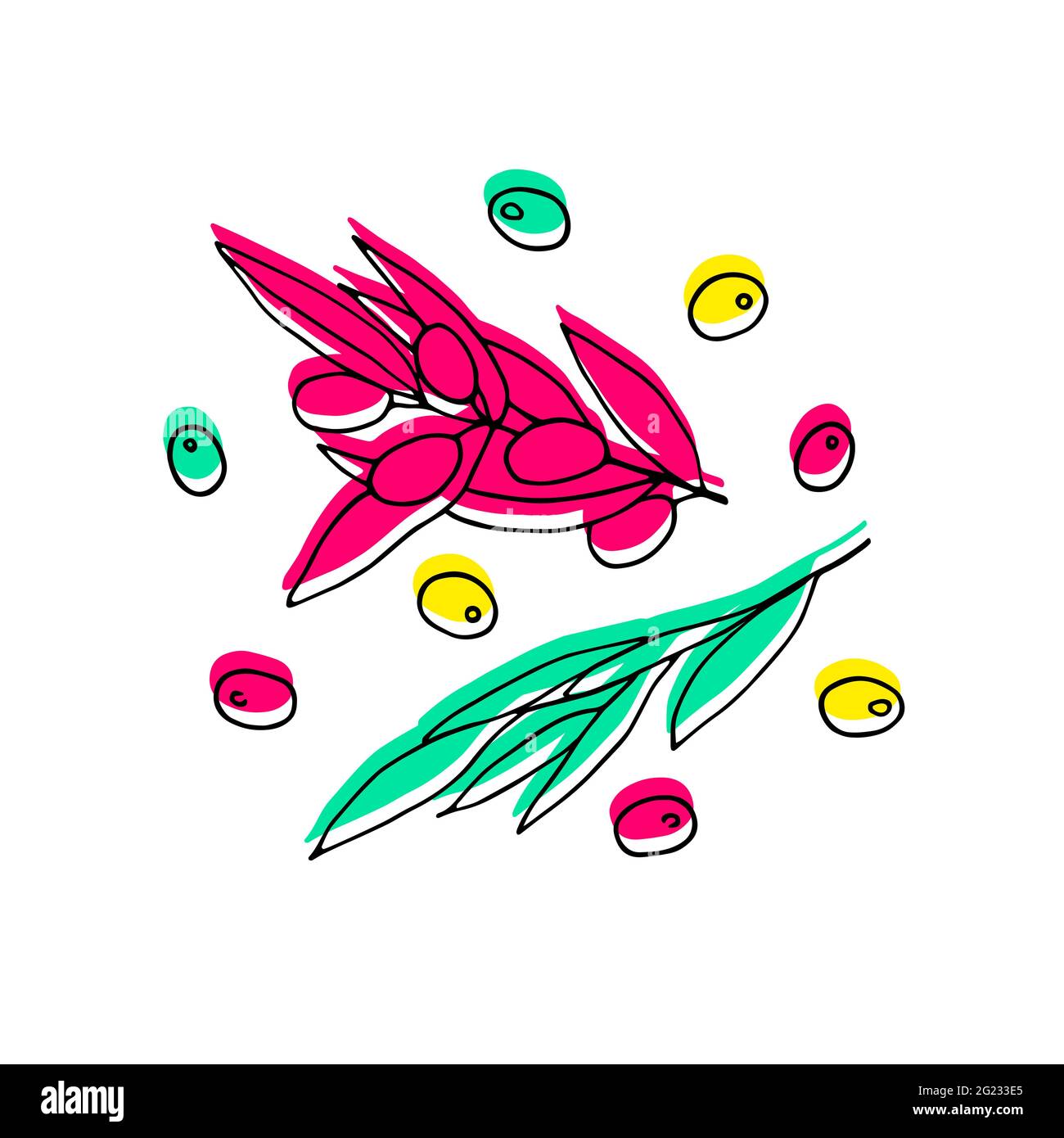 Set di olive colorate. Contorno rami di oliva isolati su sfondo bianco. Frutti di bosco e foglie di olivo tirati a mano con ripieno al neon. Illustrazione di stock vettoriale Illustrazione Vettoriale