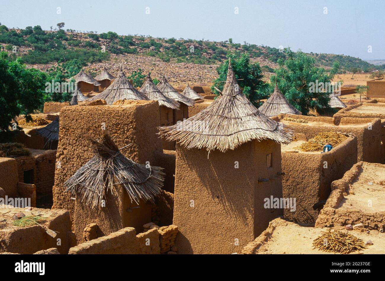 Tradizionali tombe e case di Dogon dal tetto in paglia, con essiccazione di miglio sulle torrefere piatte. Kani-Kombole Village, regione di Mopti, Mali, Africa occidentale Foto Stock