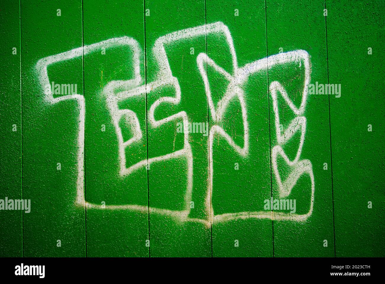Graffiti colorati raffiguranti la parola vita spray dipinto su una porta di legno verde. Foto Stock