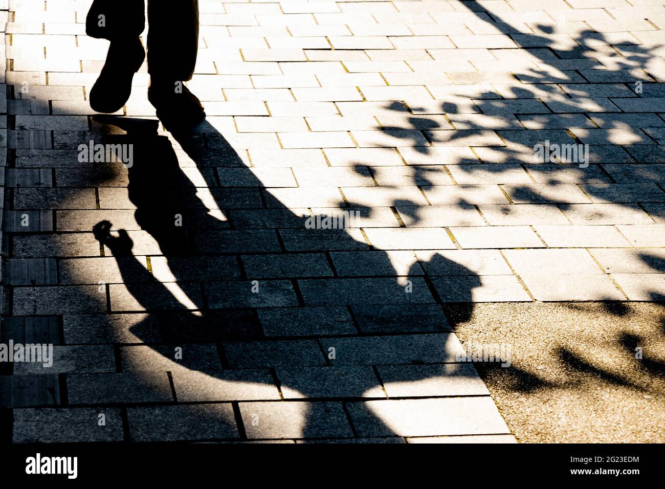 La silhouette offuscata delle ombre di una persona che cammina lungo la strada della città nella soleggiata giornata estiva, in bianco e nero Foto Stock