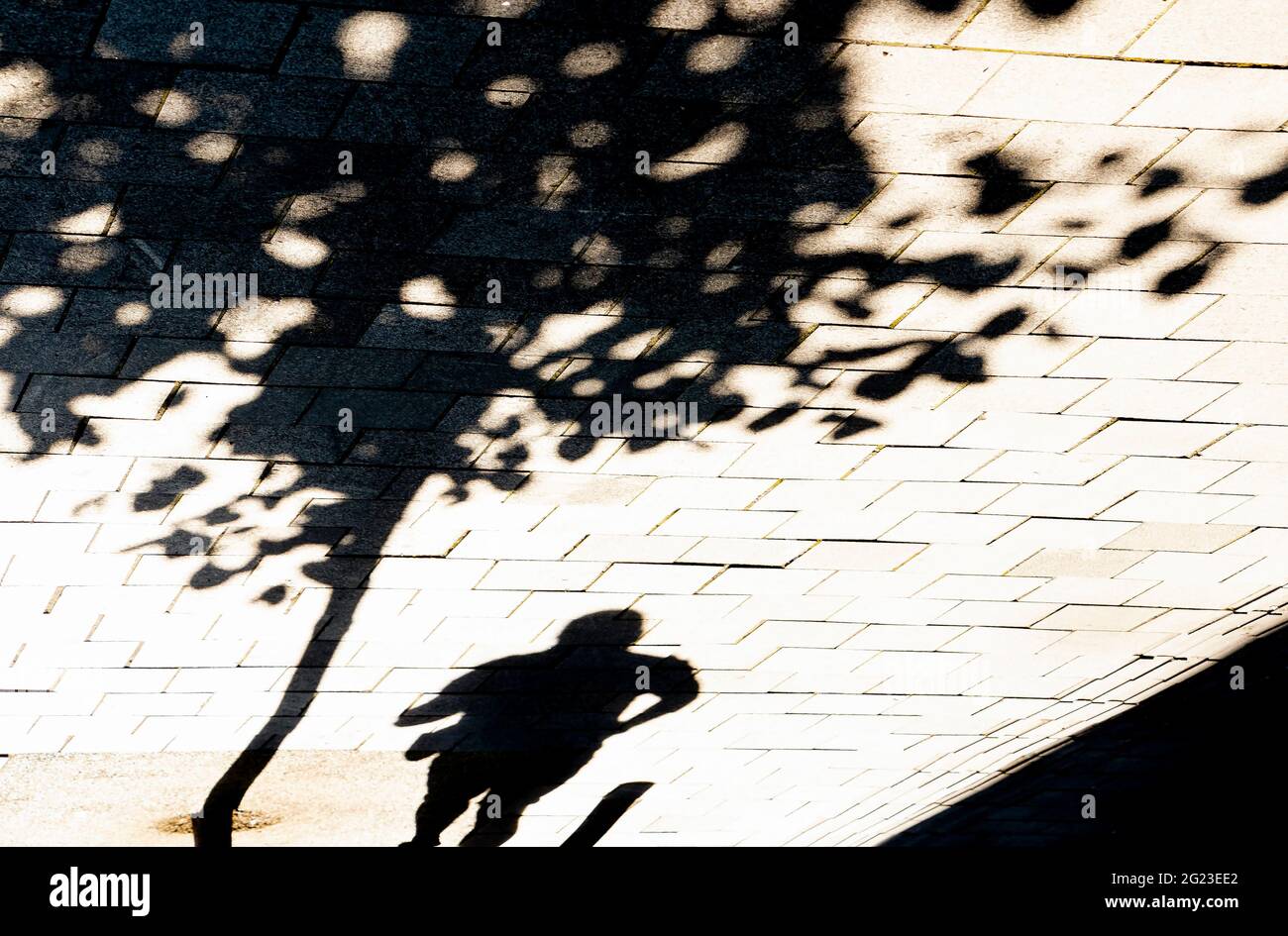 La silhouette oscura di una persona che si trova sotto un albero su un marciapiede di una strada cittadina nel soleggiato giorno d'estate, in bianco e nero Foto Stock