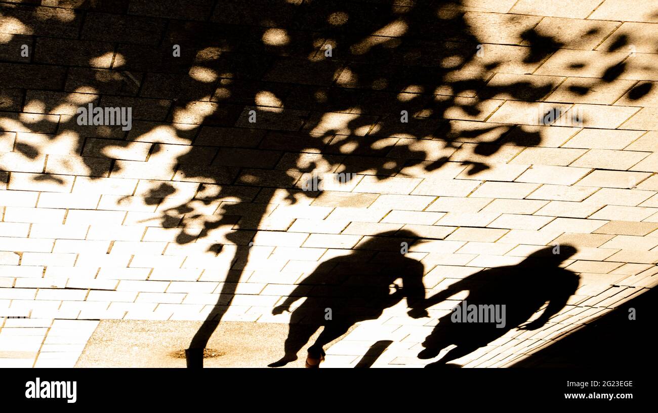 La silhouette oscura di due persone che camminano insieme, tenendo le mani, sotto un albero su un marciapiede di una strada cittadina in una giornata di sole Foto Stock