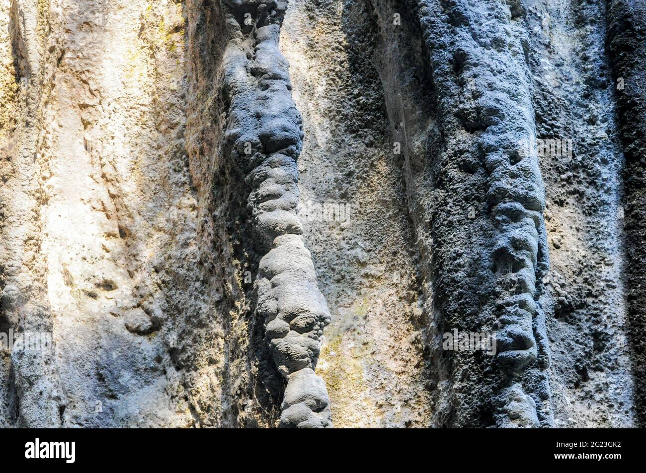 Dettagli delle formazioni rocciose all'interno delle grotte di Jenolan, vicino a Sydney, Australia Foto Stock