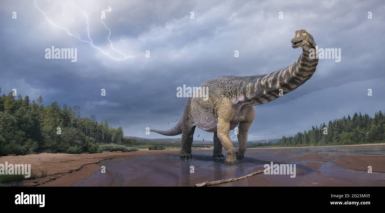 (210608) -- SYDNEY, 8 giugno 2021 (Xinhua) -- questa immagine simulata mostra un cooperensis Australotitan. I paleontologi australiani hanno svelato una nuova specie di dinosauro gigante sauropodi, che è il più grande scheletro di un dinosauro mai scoperto in Australia. La nuova specie, Australotitan cooperensis, 'southern titan', è stata chiamata dopo che i ricercatori hanno scoperto che poteva essere stomped nei libri di registrazione come il più grande dinosauro dell'Australia, ed è stata scoperta anche per la prima volta vicino al Cooper Creek a Eromanga, una città nel sud-ovest del Queensland state. PER ANDARE CON il più grande scheletro dinosauro Foto Stock
