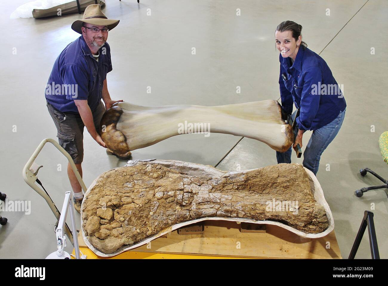 (210608) -- SYDNEY, 8 giugno 2021 (Xinhua) -- Foto scattata il 1 giugno 2015 mostra due paleontologi che portano un humero ricostruito in 3D della cooperensis Australotitan nel Queensland, Australia. I paleontologi australiani hanno svelato una nuova specie di dinosauro gigante sauropodi, che è il più grande scheletro di un dinosauro mai scoperto in Australia. La nuova specie, Australotitan cooperensis, 'southern titan', è stata chiamata dopo che i ricercatori hanno scoperto che poteva essere stomped nei libri di registrazione come il più grande dinosauro dell'Australia, ed è stata scoperta anche per la prima volta vicino al Coo Foto Stock