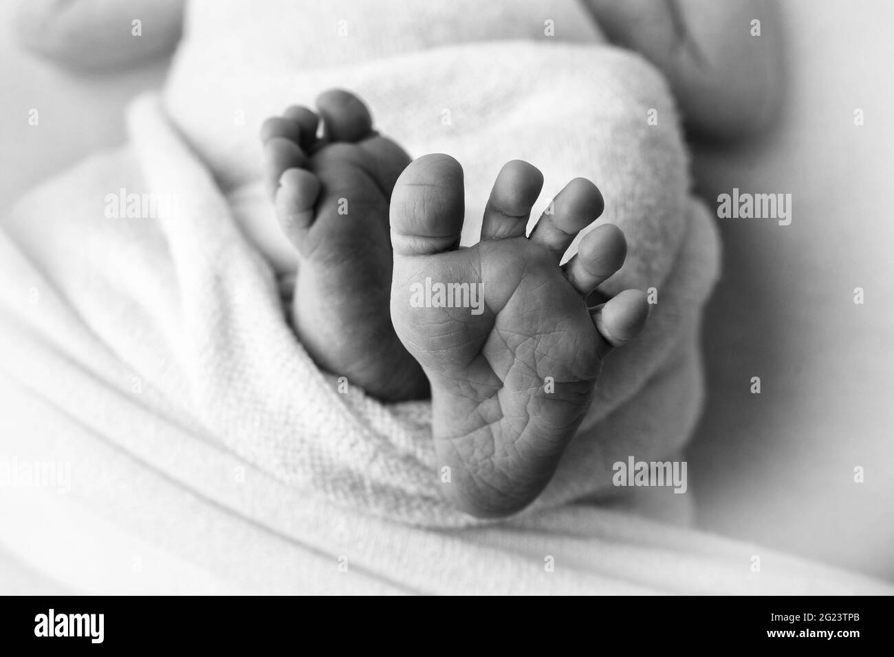 Piedi piccoli di un neonato su sfondo bianco. Dita sporgenti. Assistenza sanitaria, pediatria. Fotografia in bianco e nero. Foto Stock