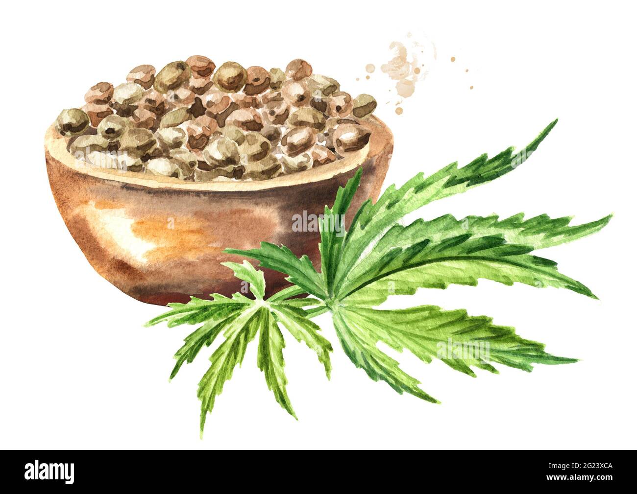 Ciotola di semi di canapa e foglie di cannabis verde, pianta di erbe medicinali, marijuana. Illustrazione di acquerello disegnata a mano isolata su sfondo bianco Foto Stock