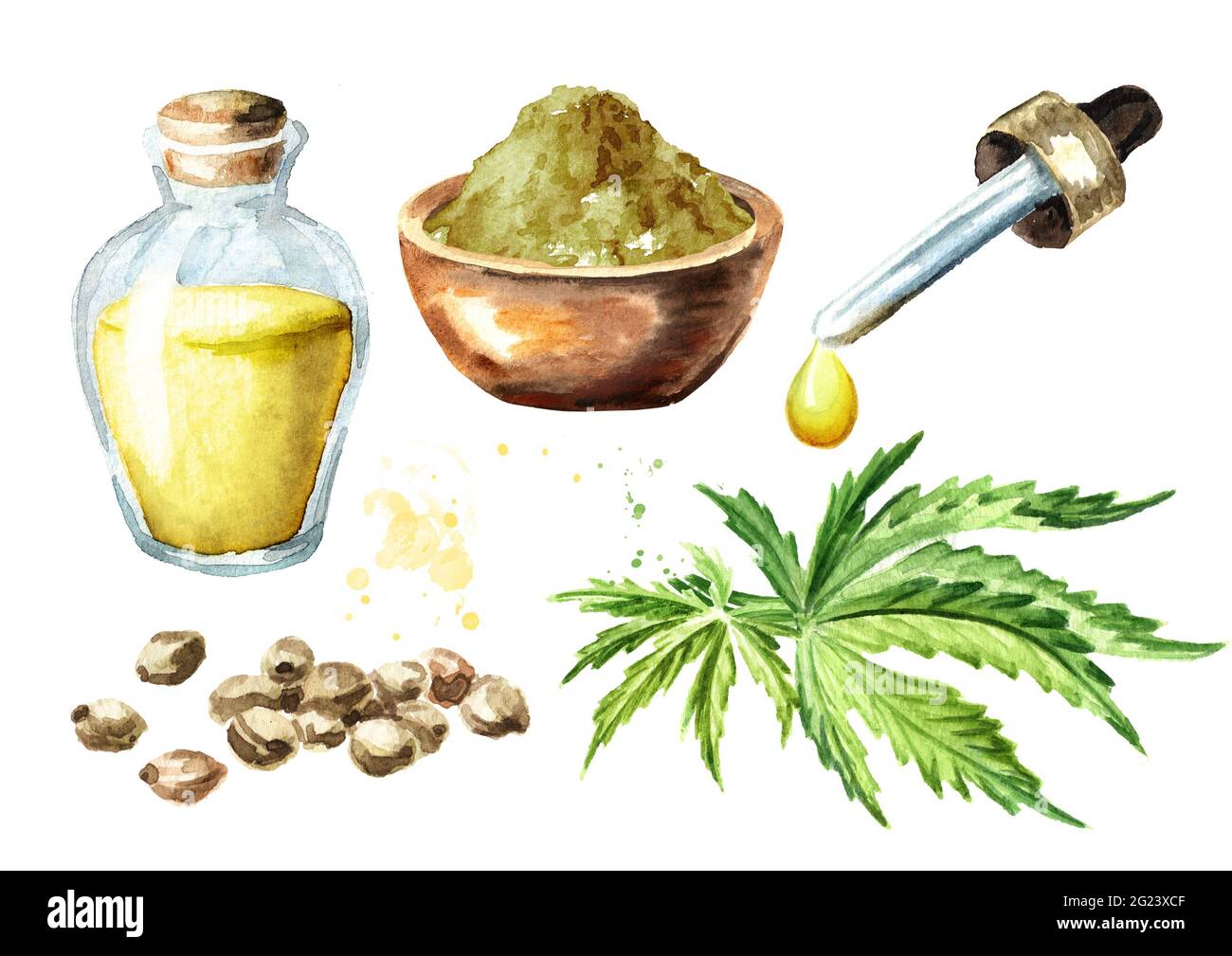 Olio di canapa, semi, farina e foglie di cannabis, insieme di piante di erbe medicinali. Illustrazione di acquerello disegnata a mano isolata su sfondo bianco Foto Stock