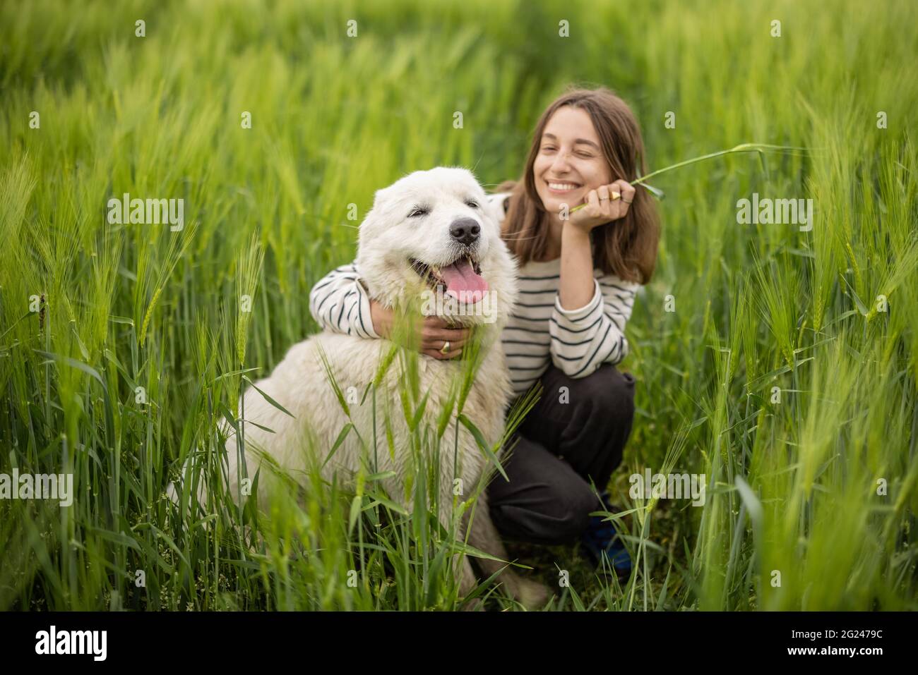 Un ritratto di donna felice che rimane in campo di segale verde gode di calma natura, mentre carino grande cane da pastore tirato fuori lingua rosa. Concetto di libertà e meditazione. Foto Stock
