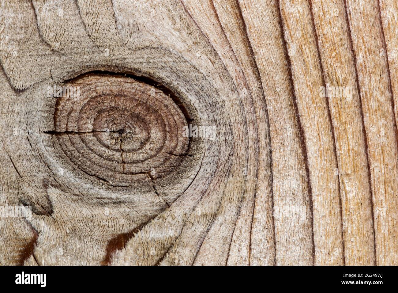 Closeup di Knothole in una recinzione di legno di pino che mostra dettagli astratti, motivi e texture. Foto Stock