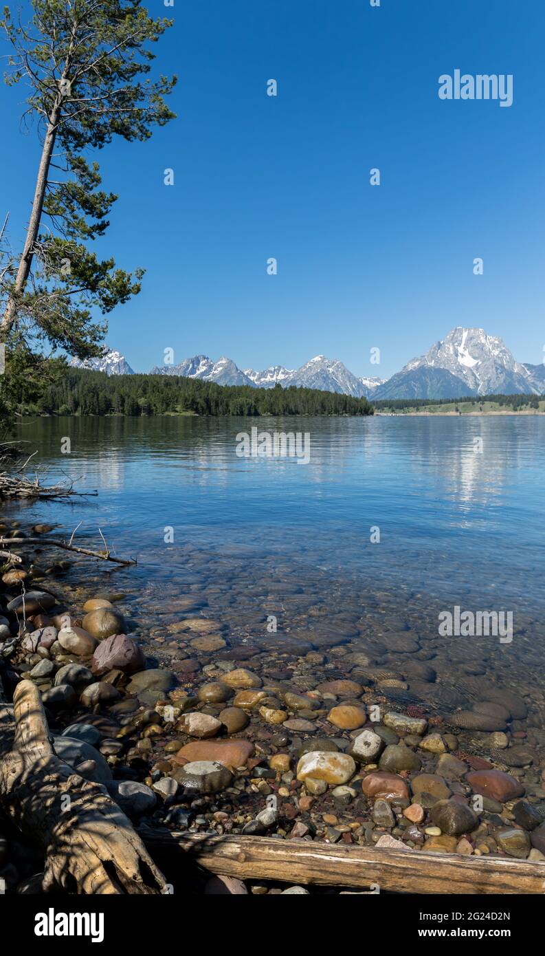 La catena montuosa si riflette nel lago Jackson con le rocce in primo piano. Parco nazionale di Grand Teton Foto Stock