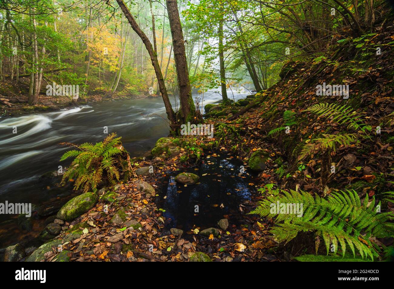 Acqua che scorre in fiume nebby Foto Stock