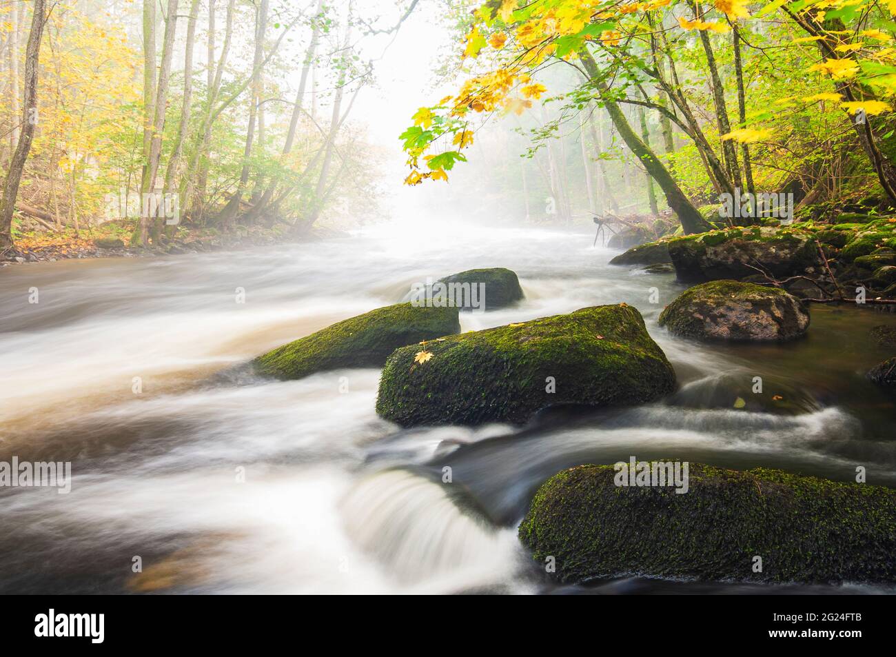 Acqua che scorre in fiume nebby Foto Stock