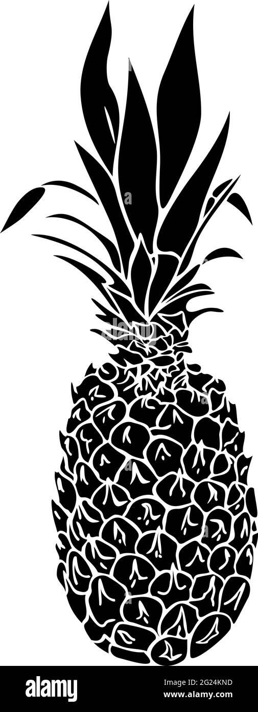Illustrazione vettoriale con silhouette di ananas. Illustrazione del cibo tropicale. Illustrazione Vettoriale