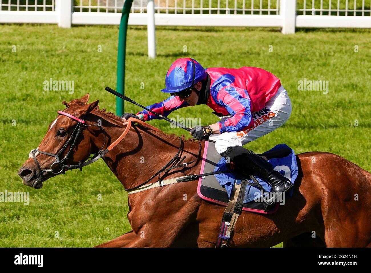 Decora guidata da Trevor Whelan sulla loro strada per vincere il Follow MansionBet handicap all'ippodromo di Salisbury. Data immagine: Martedì 8 giugno 2021. Foto Stock