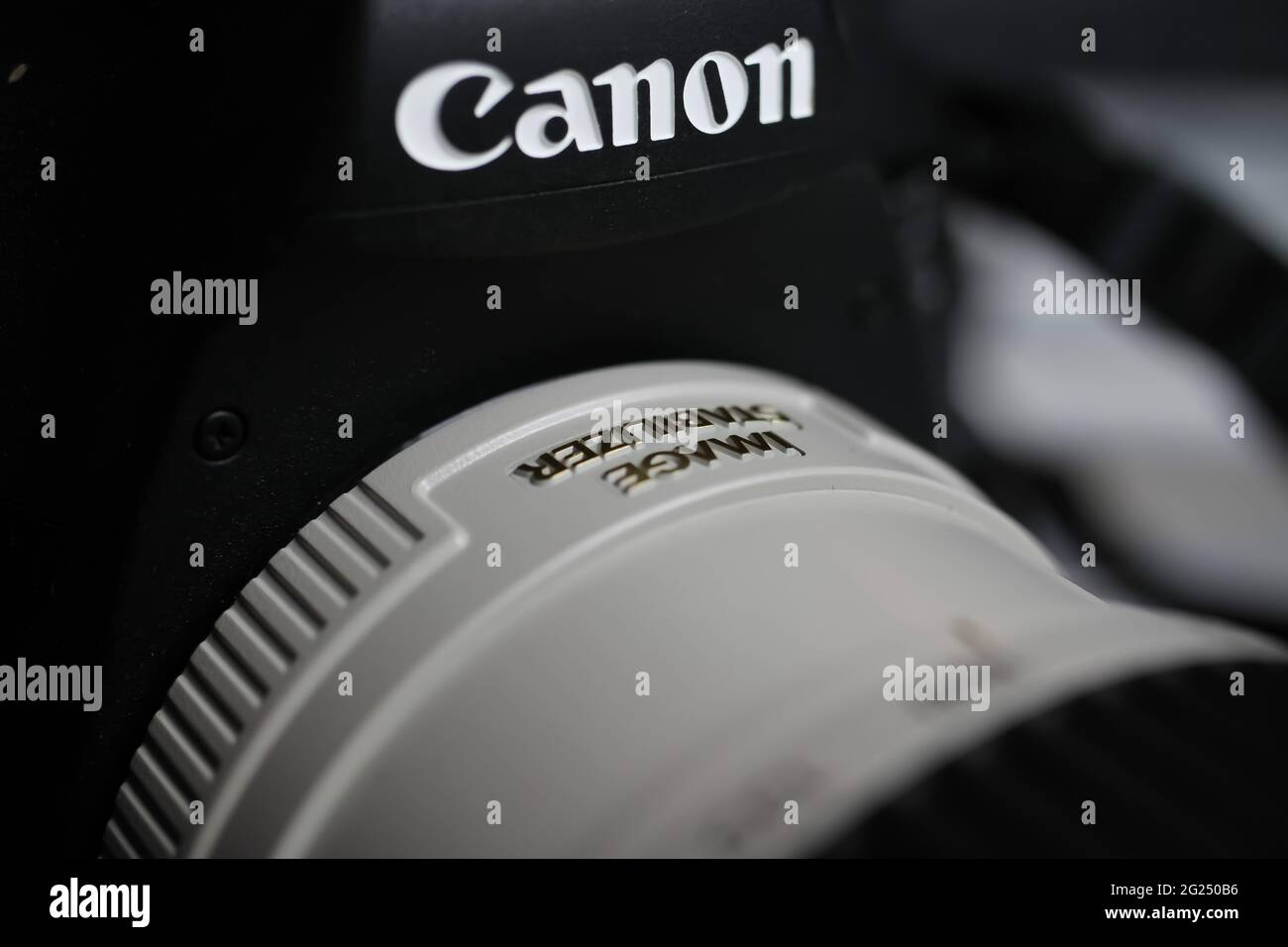 Viersen, Germania - 9 maggio. 2021: Ingrandimento macro della fotocamera digitale canon eos 6d con teleobiettivo da 200 mm con stabilizzatore d'immagine Foto Stock