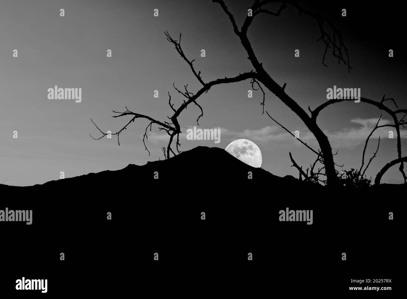 Una fotografia in bianco e nero di un albero e di una montagna dalle silhouette con la luna che sorge dietro. Forse una scena errie Haloween. Foto Stock