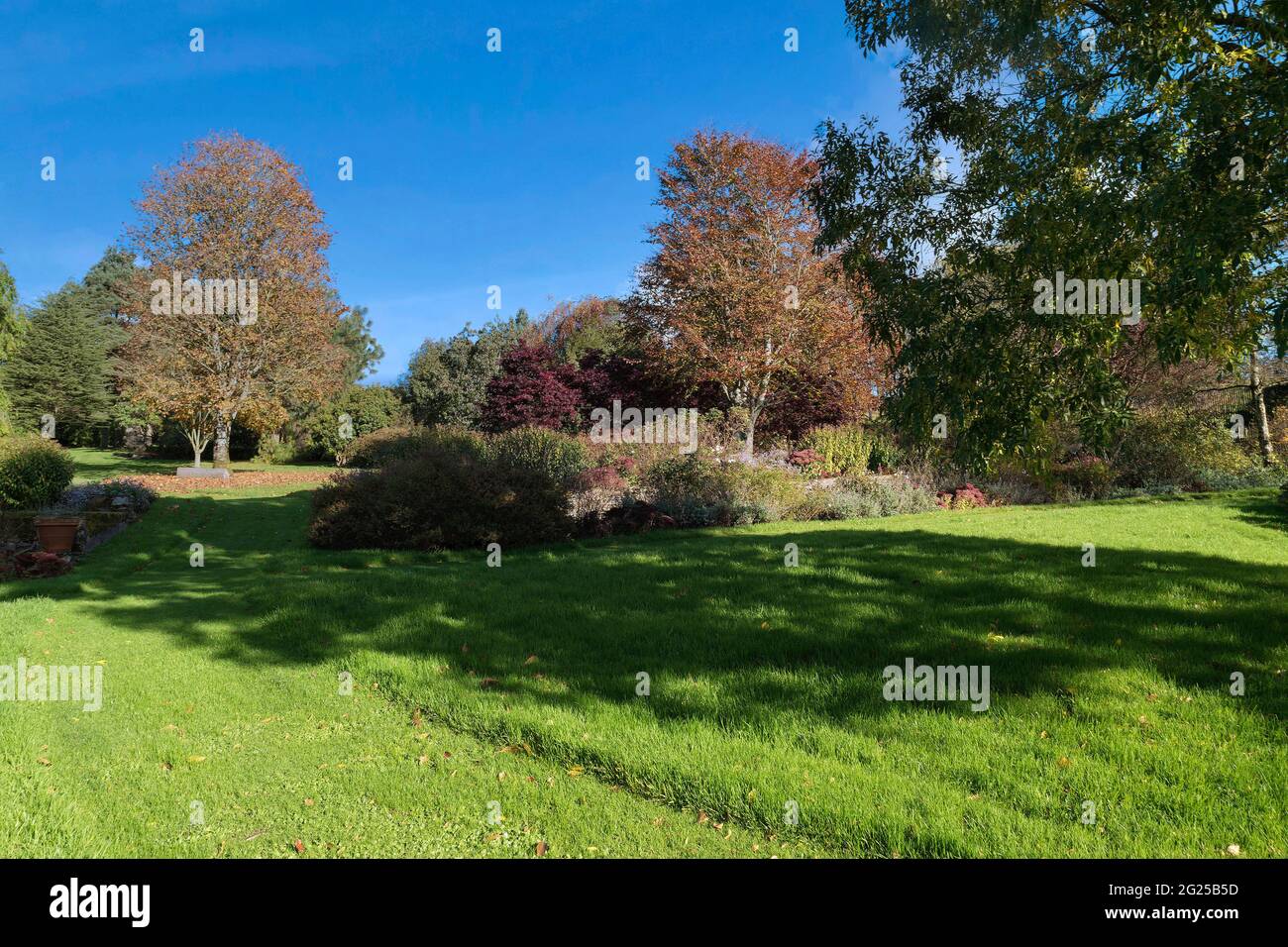 Immagine di un ampio giardino con vegetazione lussureggiante e colorata. Foto Stock