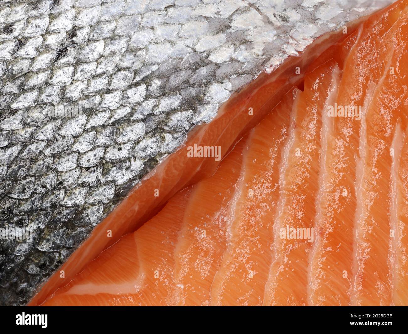 dettaglio primo piano di salmone affettato, fondo di pelle d'argento e carni fresche strutturate di pesce di salmone Foto Stock