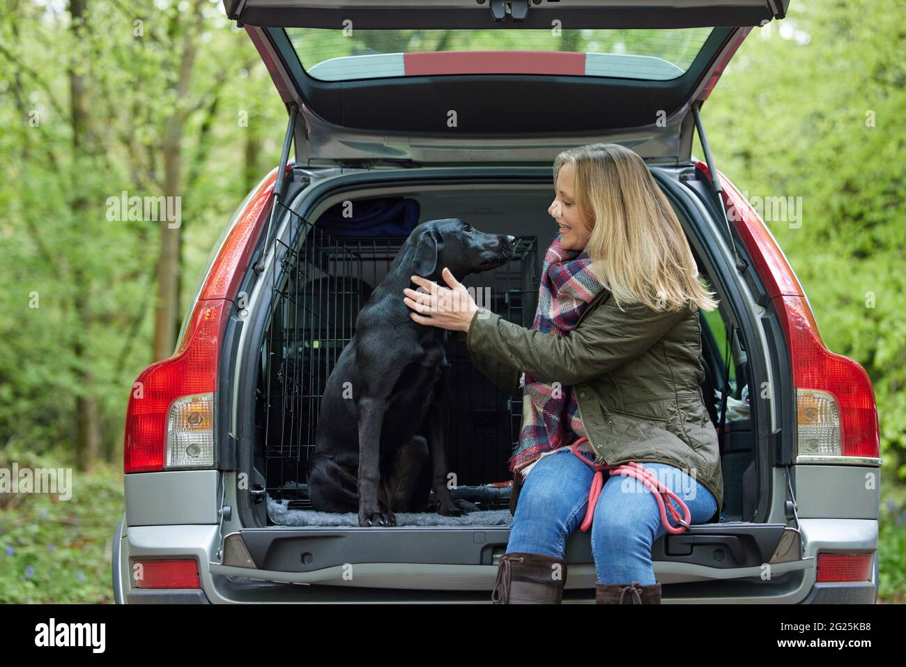 Donna matura seduta con Labrador Nero in retro di auto prima di andare a piedi in campagna Foto Stock