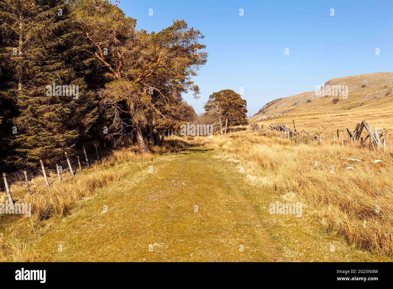 Il GWR, ormai disusato, si trova tra Bala e Blaenau Ffestiniog e raggiunge la stazione di Arenig, Snowdonia National Park Foto Stock